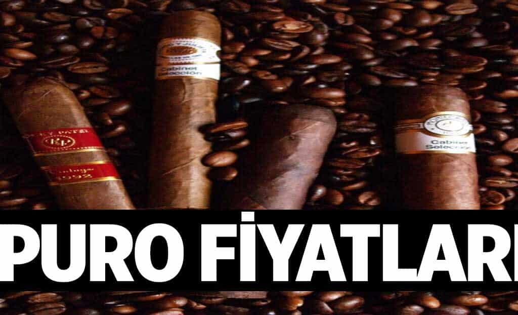 Puro Fiyatlari 1024x622Ogh.jpg