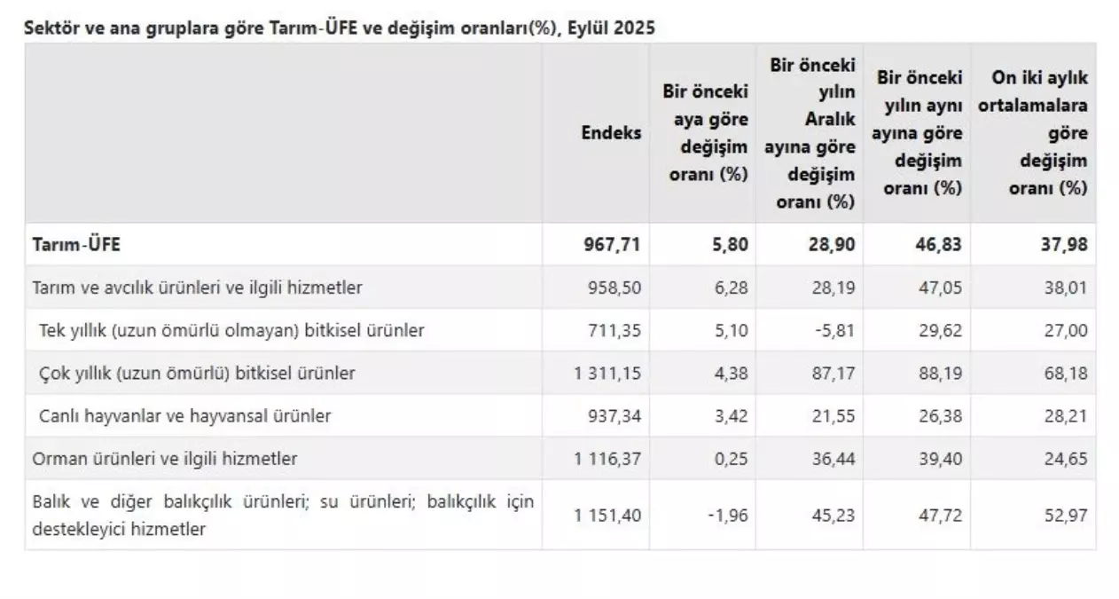 eylulde tarim urunleri fiyatlari yukseldi sTvRiGQM.jpg