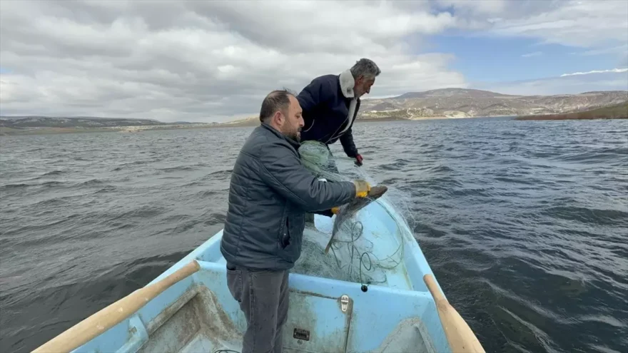 Çekerek Barajı’nda Su Seviyesi İki Kat Arttı
